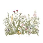 Wandsticker, der grosse bunte Wiese mit verschiedenen Pflanzen und Blumen