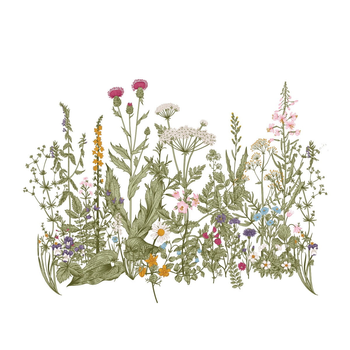 Wandsticker, der grosse bunte Wiese mit verschiedenen Pflanzen und Blumen